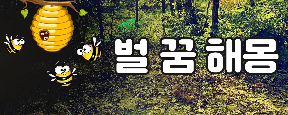 벌 꿈 상황별 꿈해몽 22가지 1 벌 꿈 상황별 꿈해몽