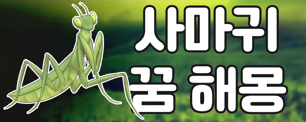 사마귀 꿈해몽 모음